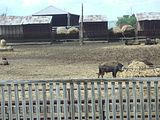 15 - Calgary to Banff  - IMGA0021